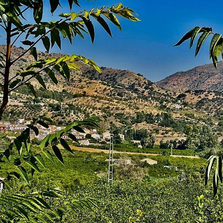 Апартаменти Finca Limoneros Алора Екстер'єр фото